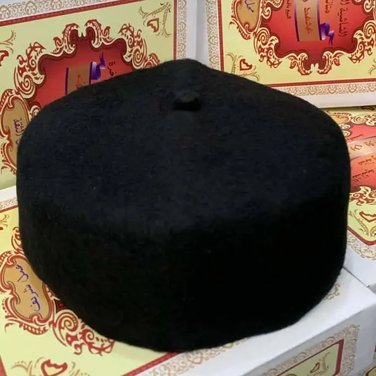 461107924_1053398159769399_5739796867664495062_n.webp